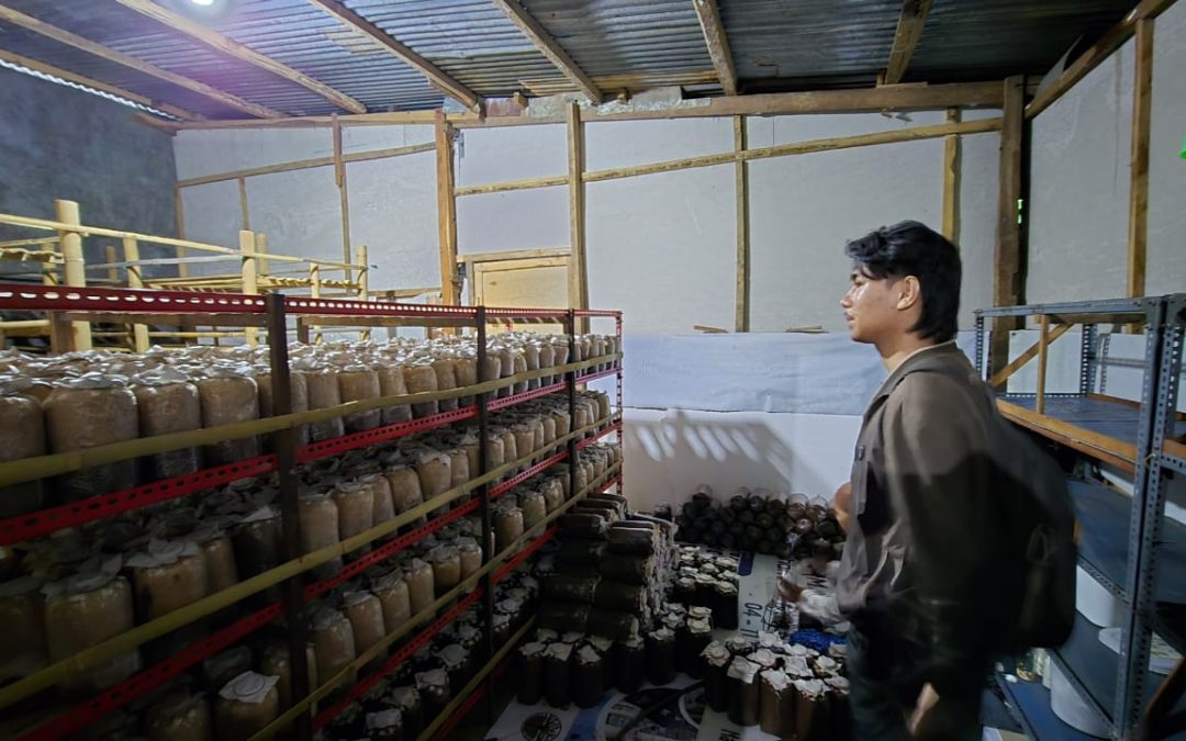 Dosen dan Mahasiswa Politeknik ATI Makassar Laksanakan Pengabdian Masyarakat di IKM Jamur Tiram Simbang, Maros