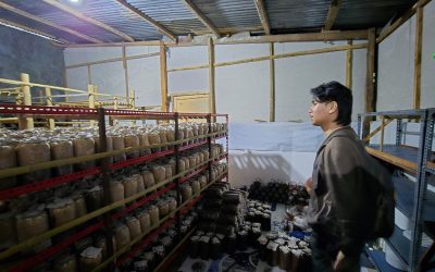 Dosen dan Mahasiswa Politeknik ATI Makassar Laksanakan Pengabdian Masyarakat di IKM Jamur Tiram Simbang, Maros