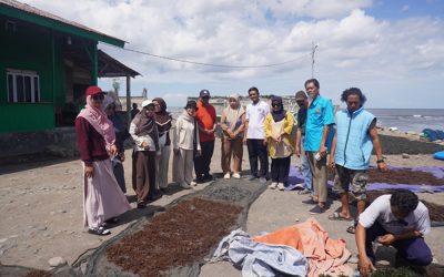 Dosen Politeknik ATI Makassar Tingkatkan Kapasitas Pembudidaya Rumput Laut di Bantaeng